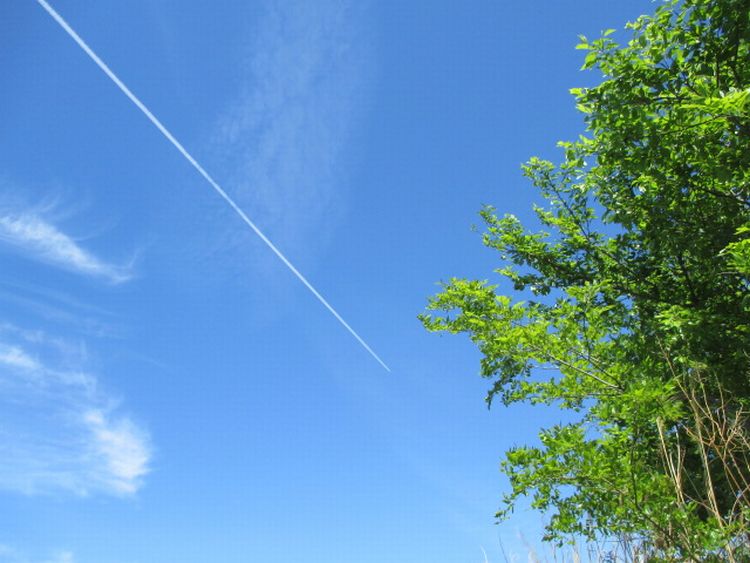 青空に１本の飛行機雲