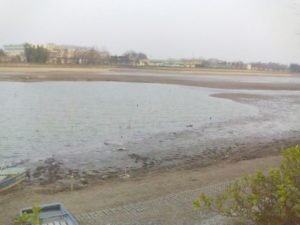 低水時の砂沼　F1